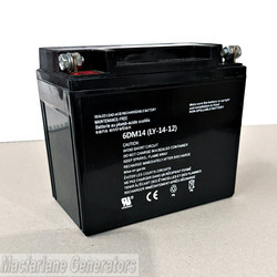 Maxwatt Battery for MX8000is product image