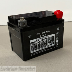 Maxwatt Battery for MX6000iS product image